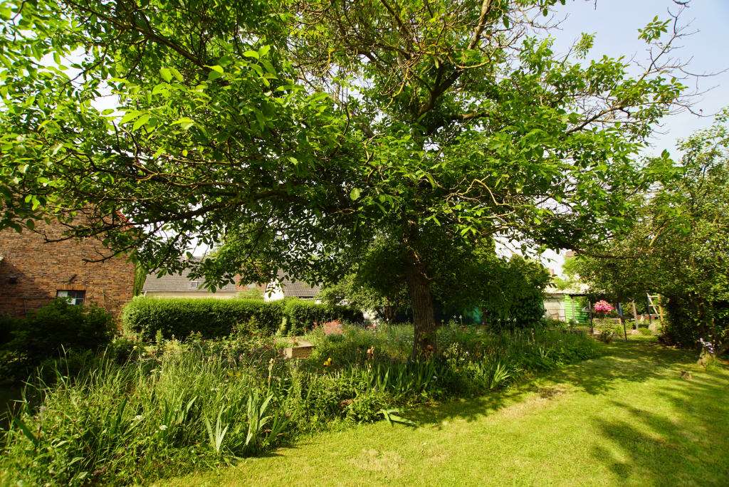 Thumbnail-Grundstück zu verkaufen in Schkopau-Hohenweiden 139.500,00 € 775 m²