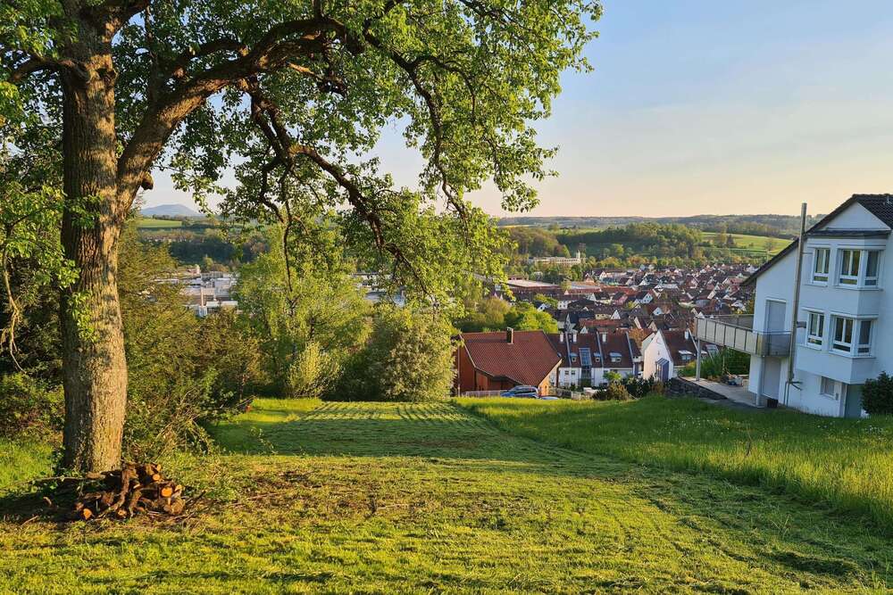 Thumbnail-Grundstück zu verkaufen in Reichenbach 249.000,00 € 553 m²