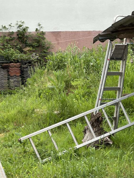 Thumbnail-Grundstück zu verkaufen in Erbach 95.000,00 € 604 m²