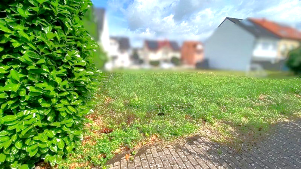 Thumbnail-Grundstück zu verkaufen in Rauenberg 126.000,00 € 186 m²