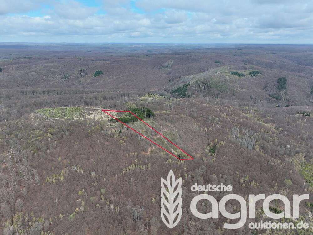 Thumbnail-Grundstück in Sangerhausen Großleinungen 6.500,00 € 15085 m²