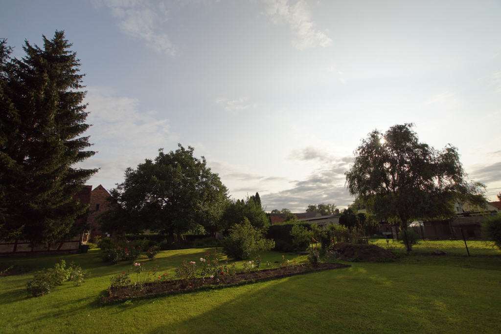 Thumbnail-Grundstück zu verkaufen in Schkopau-Hohenweiden 198.000,00 € 1382 m²