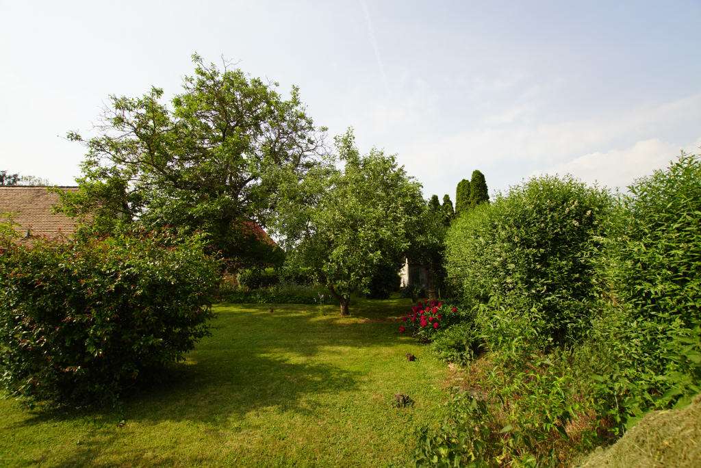 Thumbnail-Grundstück zu verkaufen in Schkopau-Hohenweiden 134.500,00 € 743 m²