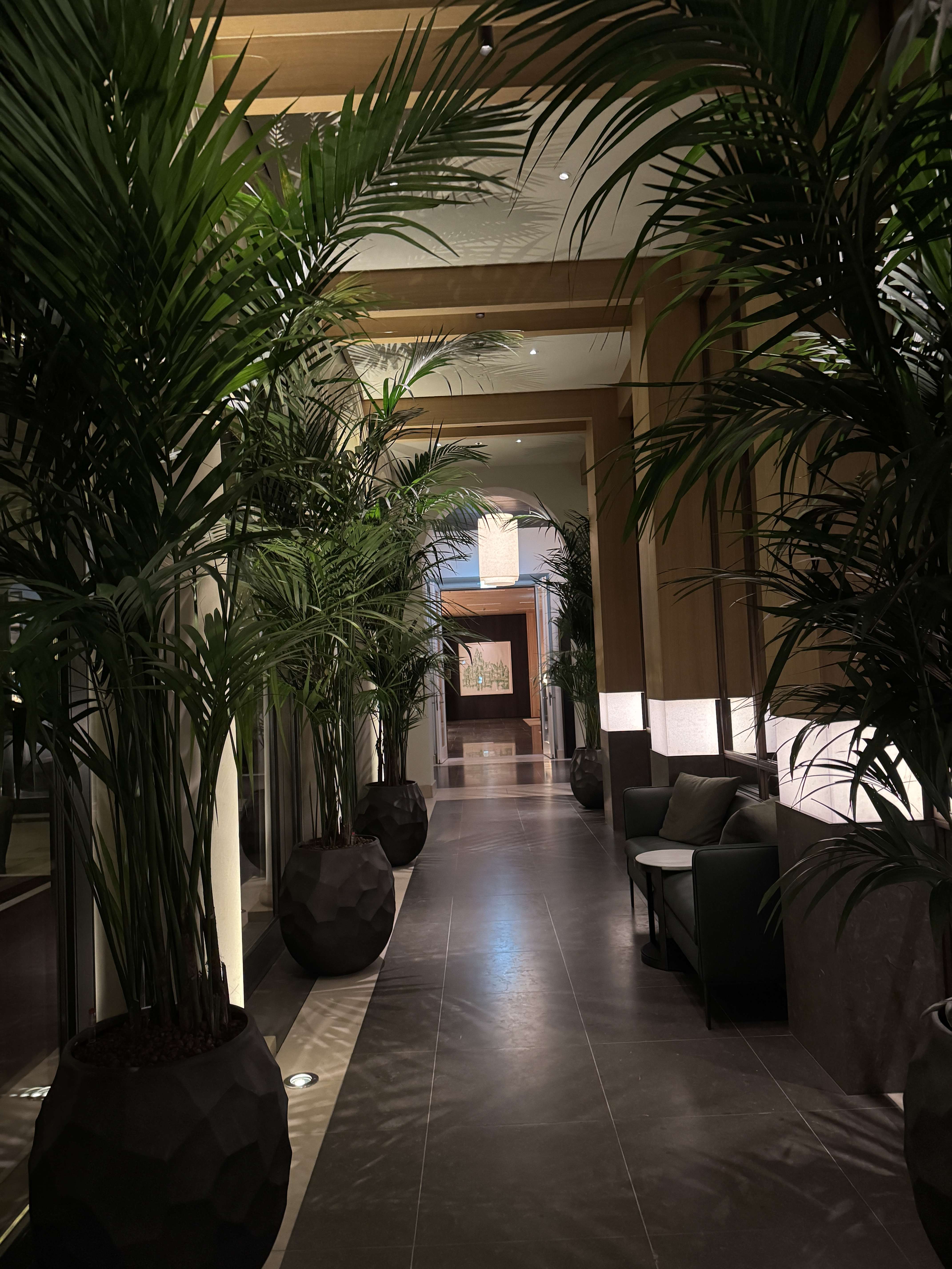 Thumbnail-Einzelhandel in München Maxvorstadt 1.320.000,00 € 94.06 m²