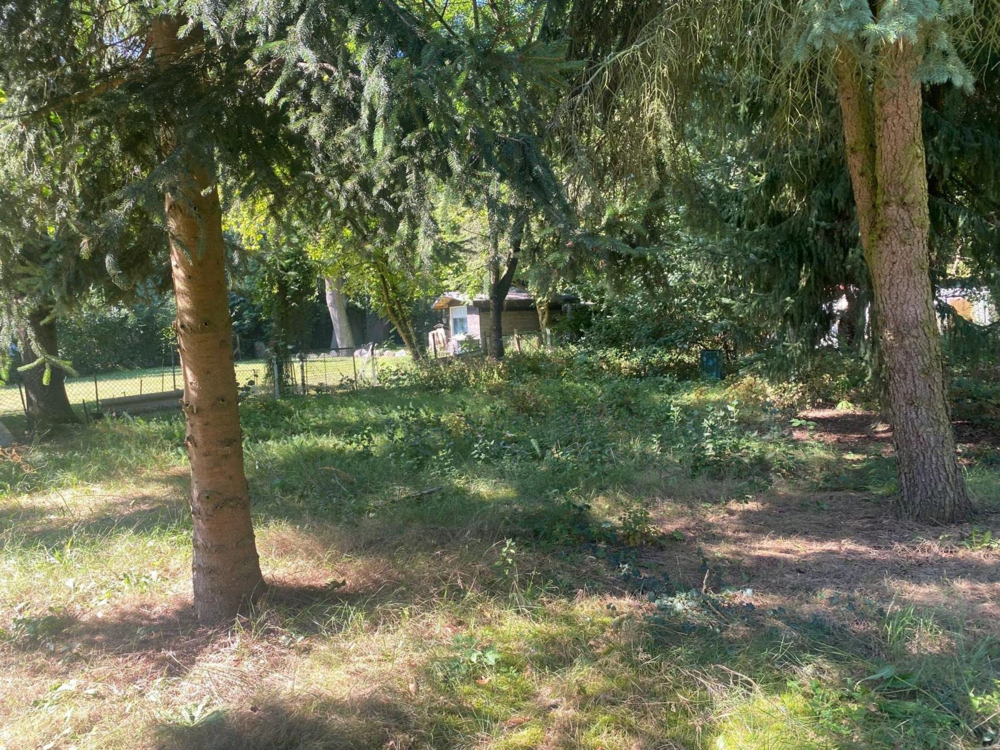 Thumbnail-Grundstück zu verkaufen in Rangsdorf 457.000,00 € 1300 m²