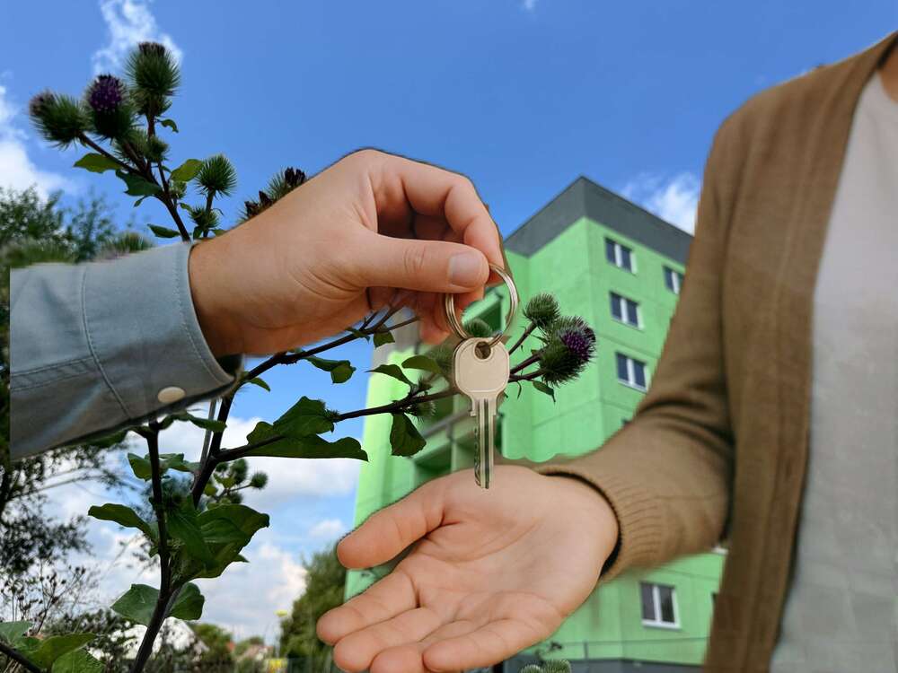 Thumbnail-Wohnung zum Mieten in Rötha 513,00 € 68.4 m²