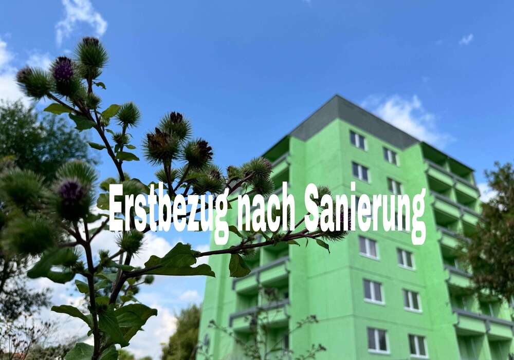 Thumbnail-Wohnung zum Mieten in Rötha 408,00 € 54.4 m²