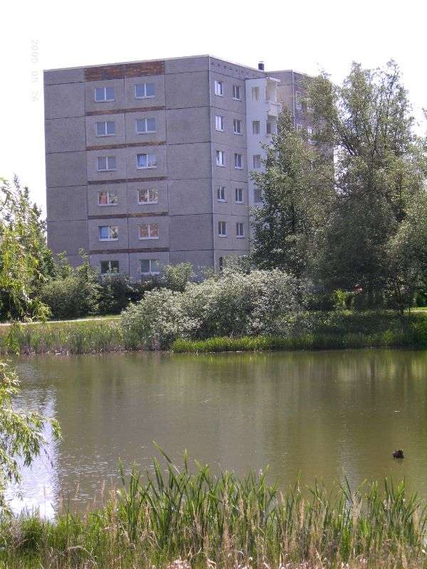 Thumbnail-Wohnung zum Mieten in Rostock 289,00 € 46.45 m²