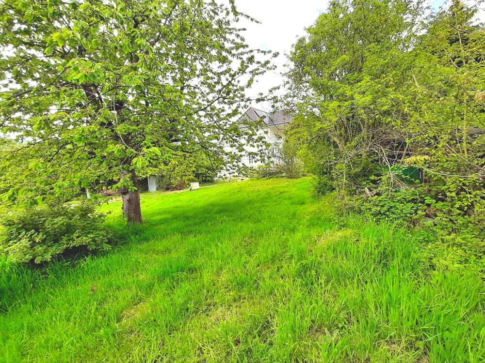 Thumbnail-Grundstück zu verkaufen in Detmold 185.000,00 € 611 m²