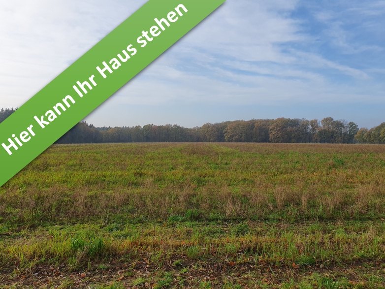Thumbnail-Haus zum Kaufen in Bad Fallingbostel 360.790,00 € 124 m²