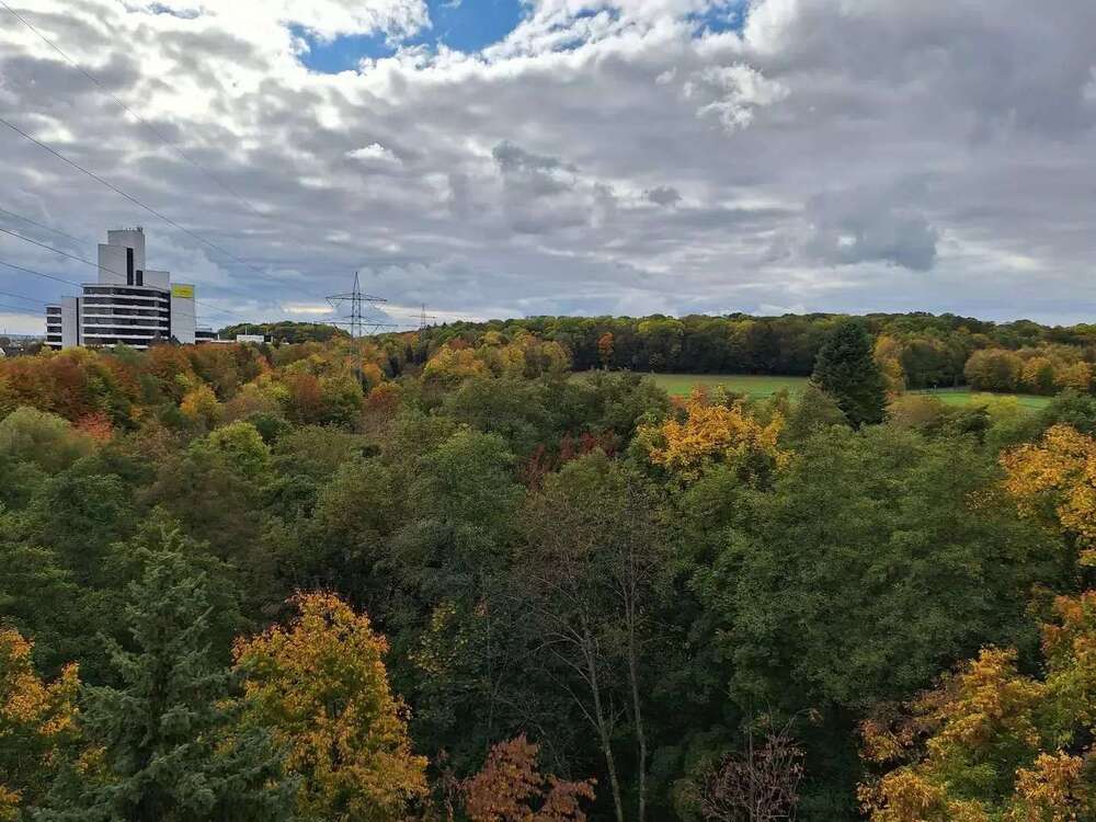 Thumbnail-Wohnung zum Kaufen in Schwalbach 189.000,00 € 55.1 m²