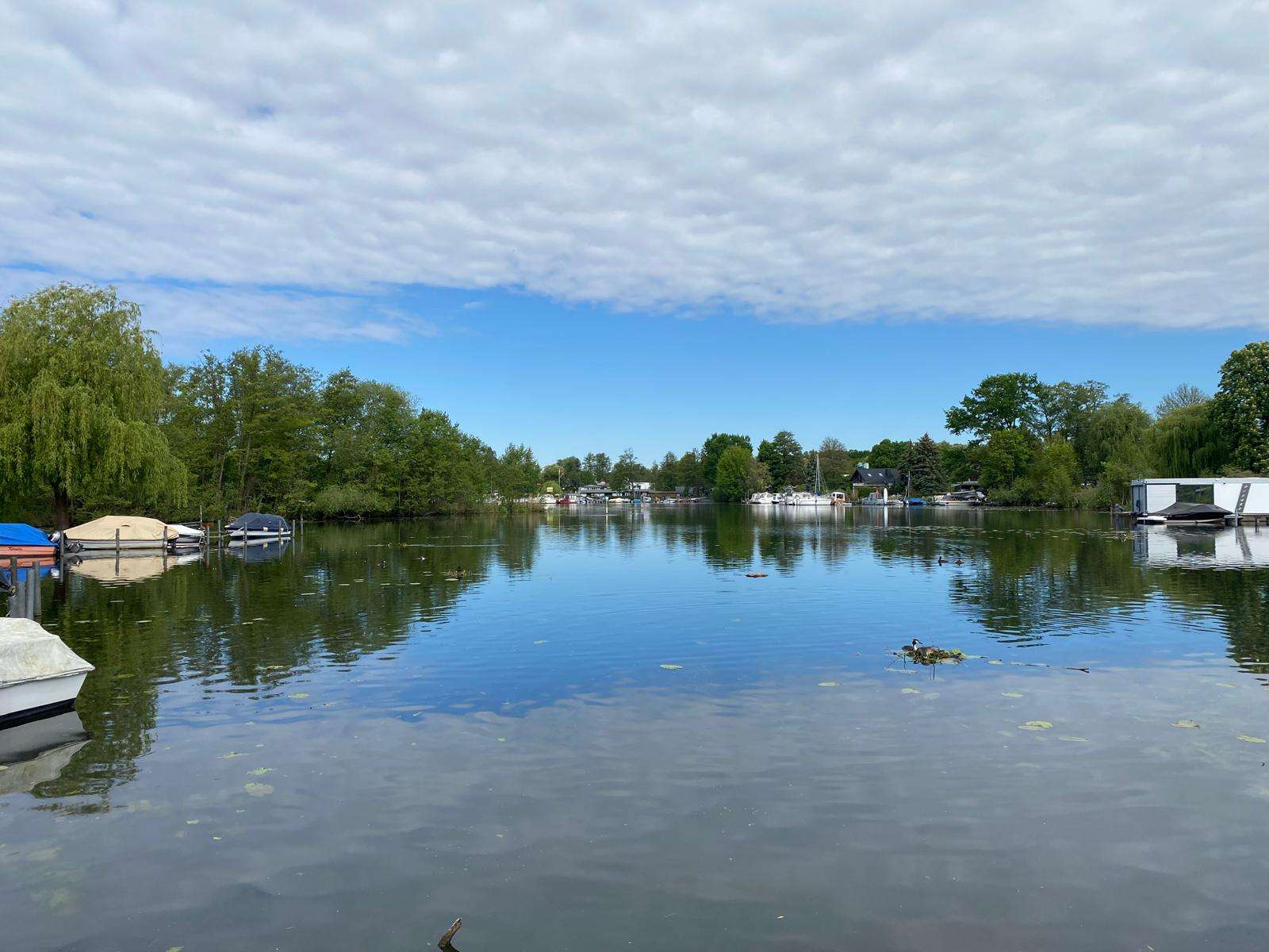 Thumbnail-Grundstück zu verkaufen in Berlin 440.000,00 € 763 m²