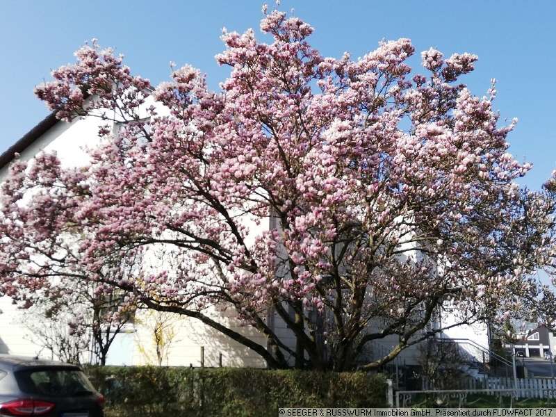 Thumbnail-Haus zum Kaufen in Stutensee 395.000,00 € 163 m²