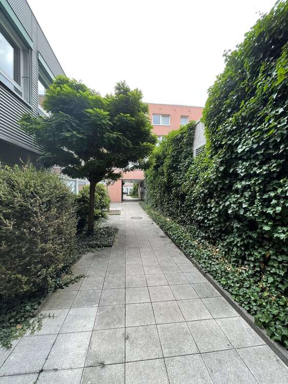 Thumbnail-Wohnung zum Mieten in Siegen 502,50 € 67 m²