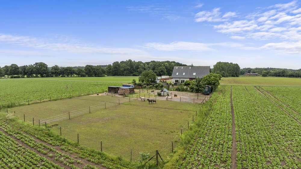 Thumbnail-Haus zum Kaufen in Bedburg-Hau Hasselt 524.500,00 € 189 m²