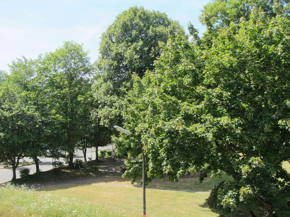 Thumbnail-Wohnung zum Kaufen in Alfter Bonn 239.000,00 € 56.74 m²