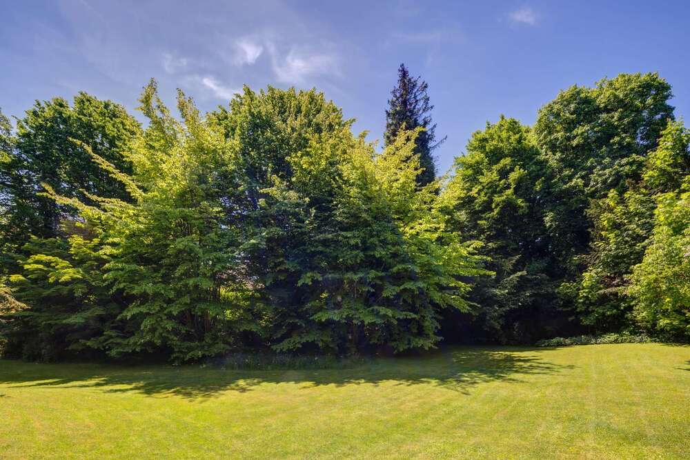 Thumbnail-Haus zum Kaufen in Schäftlarn 1.800.000,00 € 215 m²