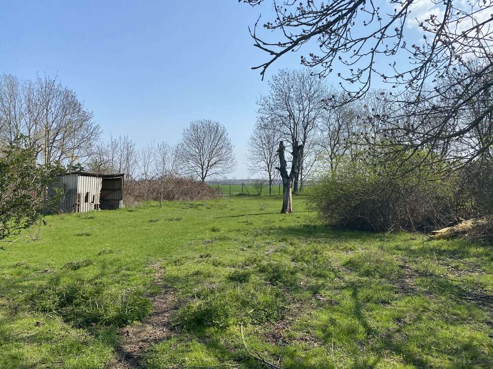 Thumbnail-Grundstück zu verkaufen in Wiedemar OT Rabutz 90.000,00 € 726 m²