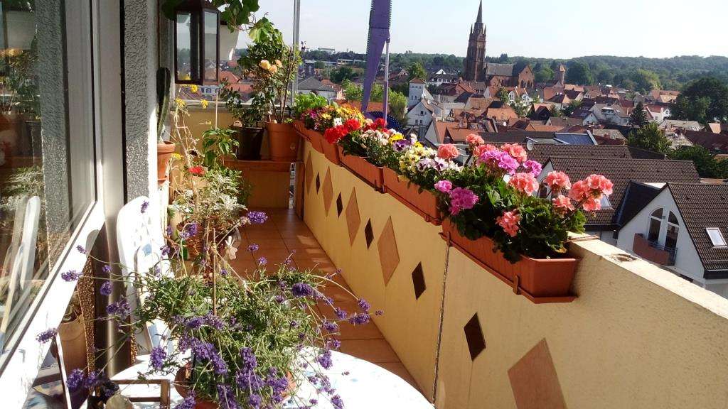 Thumbnail-Wohnung zum Kaufen in Langen 165.000,00 € 64.69 m²