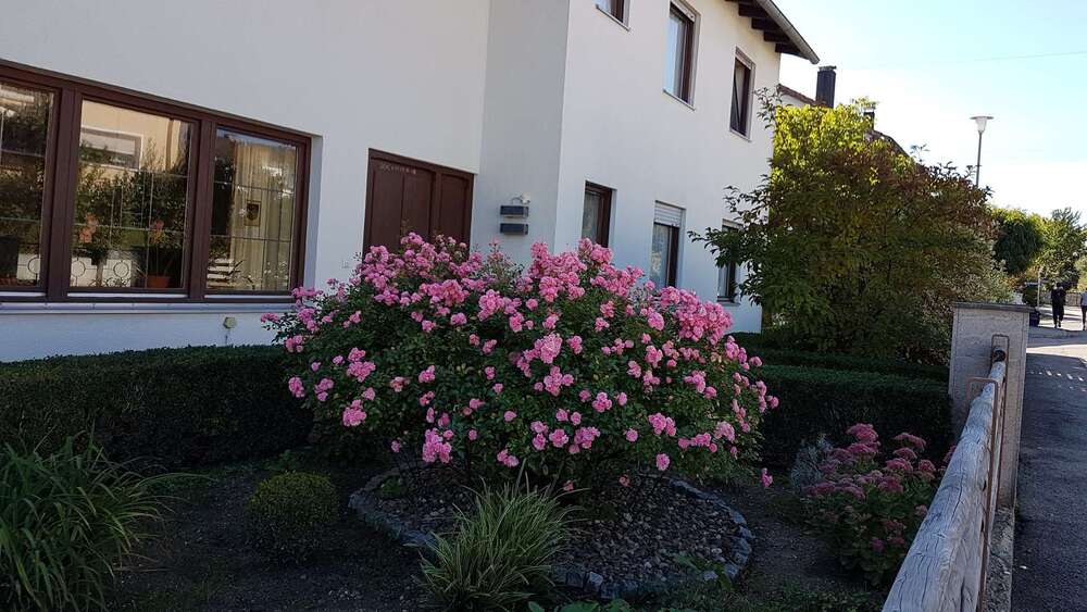 Thumbnail-Haus zum Kaufen in Eichstätt 610.000,00 € 232 m²