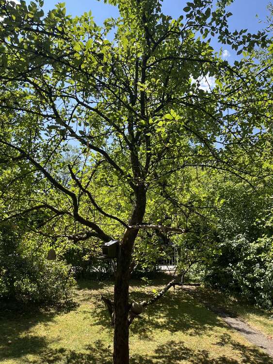 Thumbnail-Grundstück zu verkaufen in München 1.500.000,00 € 640 m²