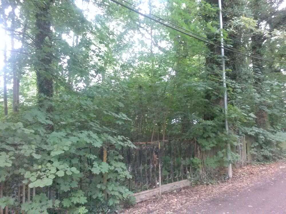 Thumbnail-Grundstück zu verkaufen in Brandis 329.000,00 € 1162 m²