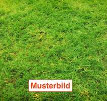 Thumbnail-Grundstück zu verkaufen in Frankfurt 899.000,00 € 908 m²