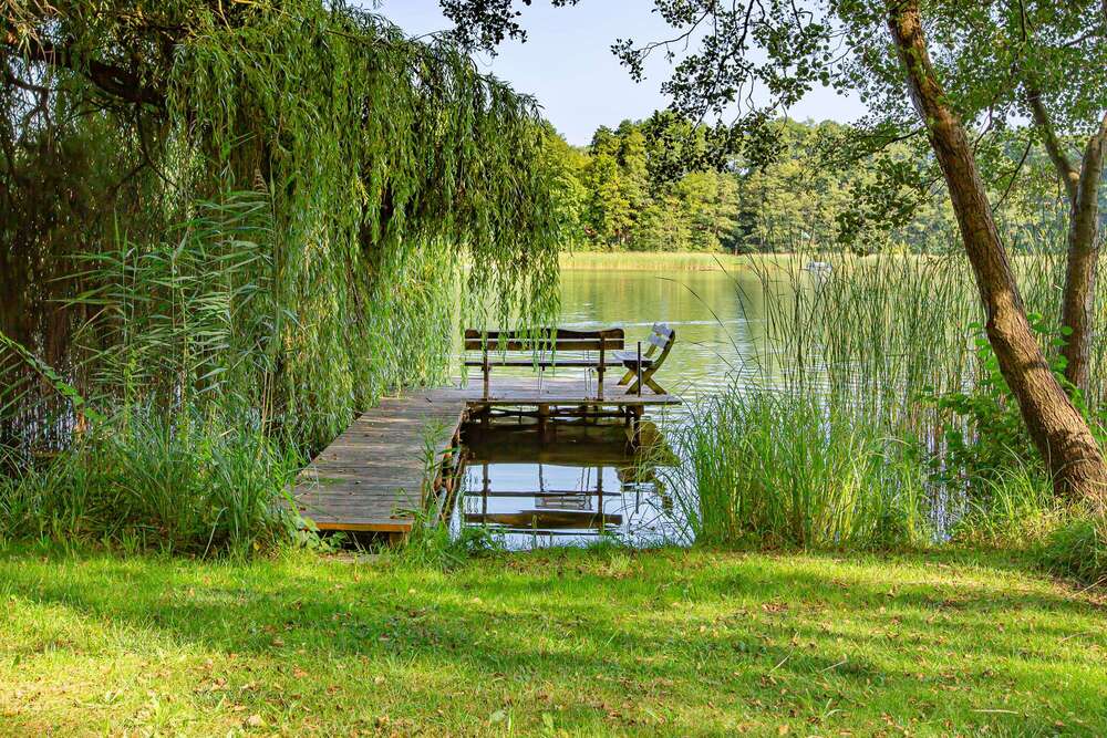 Thumbnail-Haus zum Kaufen in Wandlitz 4.999.000,00 € 250 m²