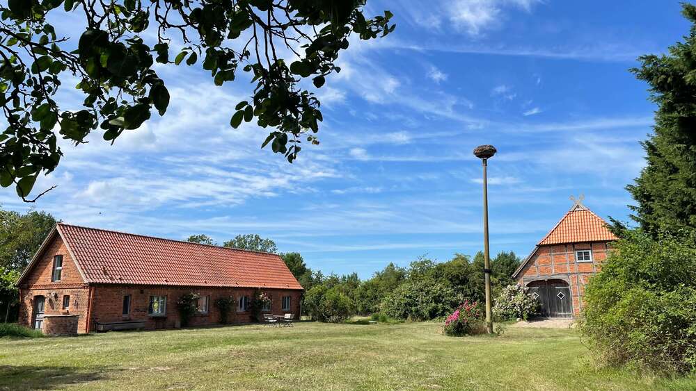 Thumbnail-Haus zum Kaufen in Amt Neuhaus 749.000,00 € 110 m²