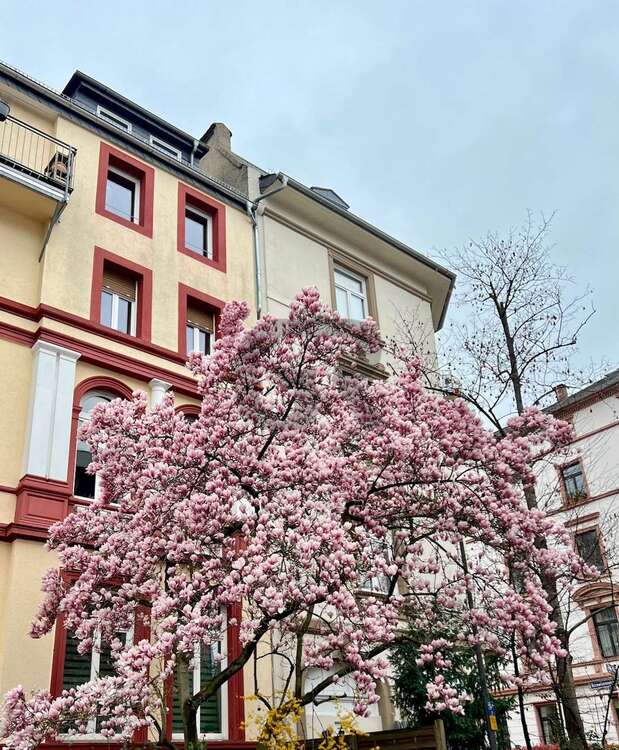 Thumbnail-Haus zum Kaufen in Darmstadt 3.450.000,00 € 1362 m²