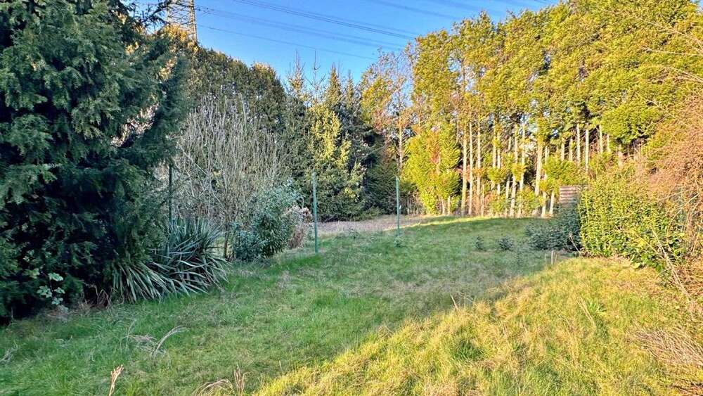 Thumbnail-Grundstück zu verkaufen in Bornheim 500.000,00 € 1000 m²