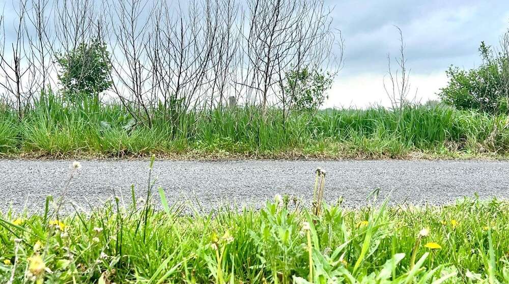 Thumbnail-Grundstück zu verkaufen in Kremmen 199.000,00 € 1266 m²