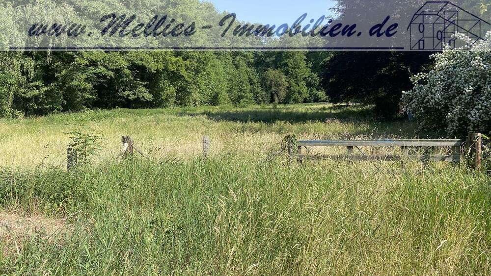 Thumbnail-Grundstück zu verkaufen in Dannenberg 89.000,00 € 5508 m²