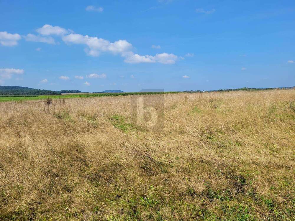 Thumbnail-Grundstück zu verkaufen in Großlittgen 72.000,00 € 1000 m²