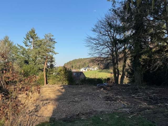 Thumbnail-Grundstück zu verkaufen in Roetgen Mulartshütte 150.000,00 € 1000 m²