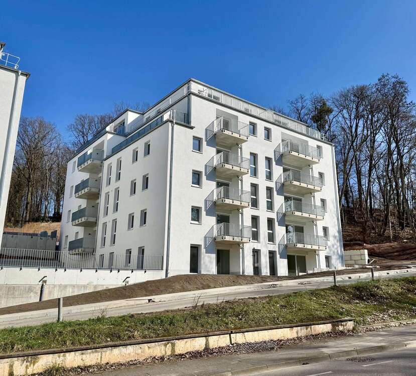 Thumbnail-Wohnung zum Mieten in Kaiserslautern 1.200,00 € 97.63 m²