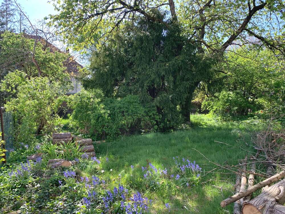 Thumbnail-Grundstück zu verkaufen in Oberursel (Taunus) 795.000,00 € 536 m²
