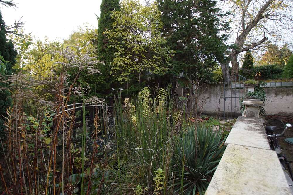 Thumbnail-Haus zum Kaufen in Leipzig 290.000,00 € 135 m²