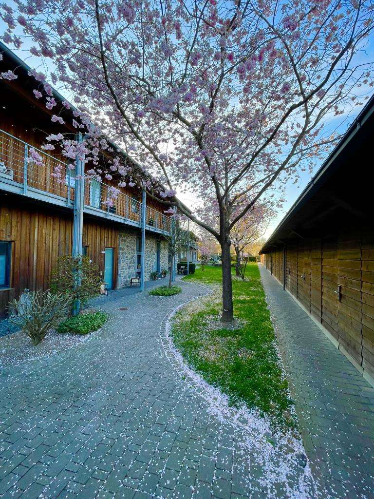 Thumbnail-Wohnung zum Kaufen in Lich 425.000,00 € 96 m²