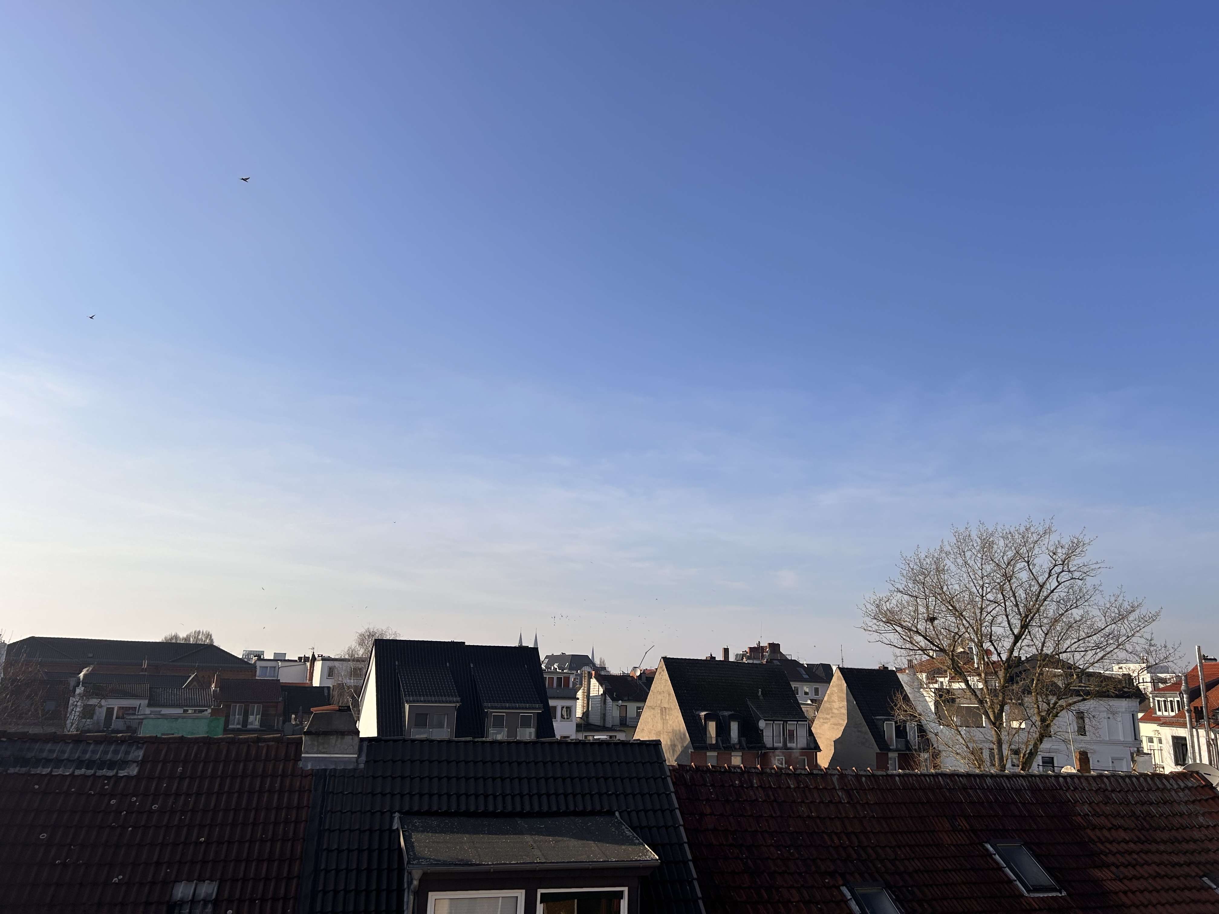 Thumbnail-Haus zum Kaufen in Bremen 299.000,00 € 105 m²