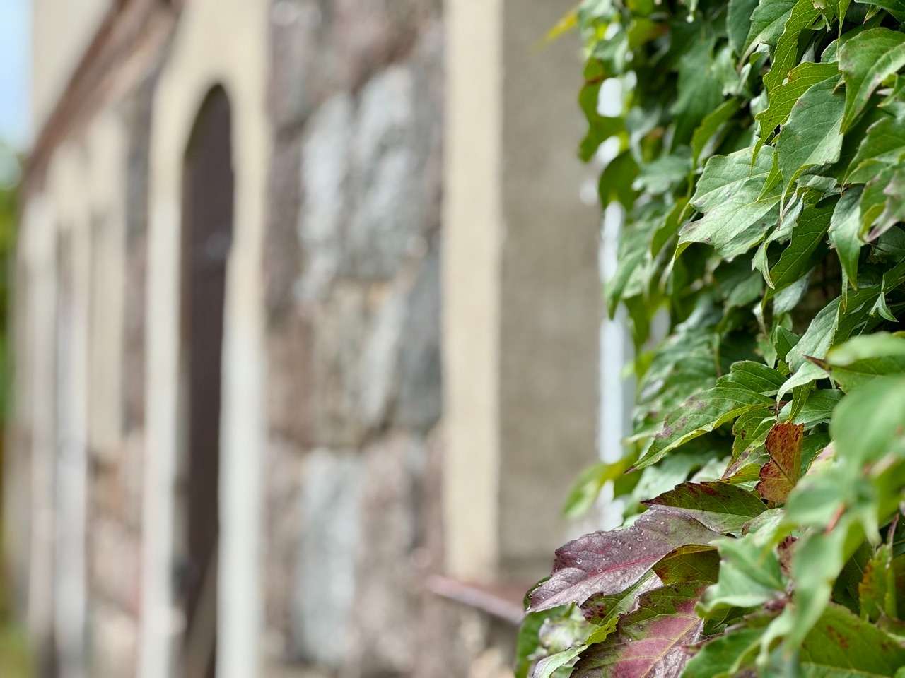 Thumbnail-Haus zum Kaufen in Angermünde 245.000,00 € 130 m²