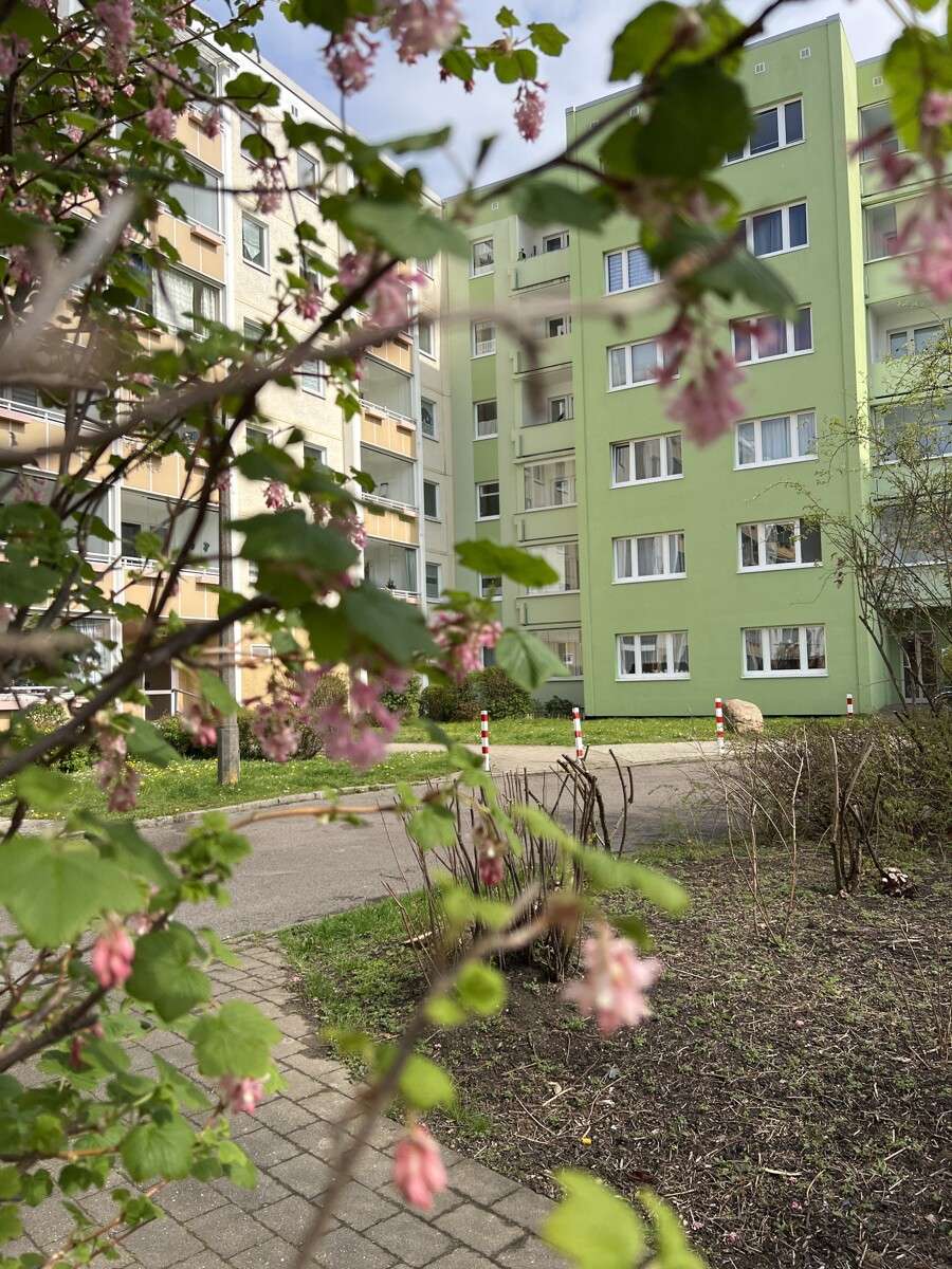 Thumbnail-Wohnung zum Kaufen in Rostock 169.500,00 € 67 m²