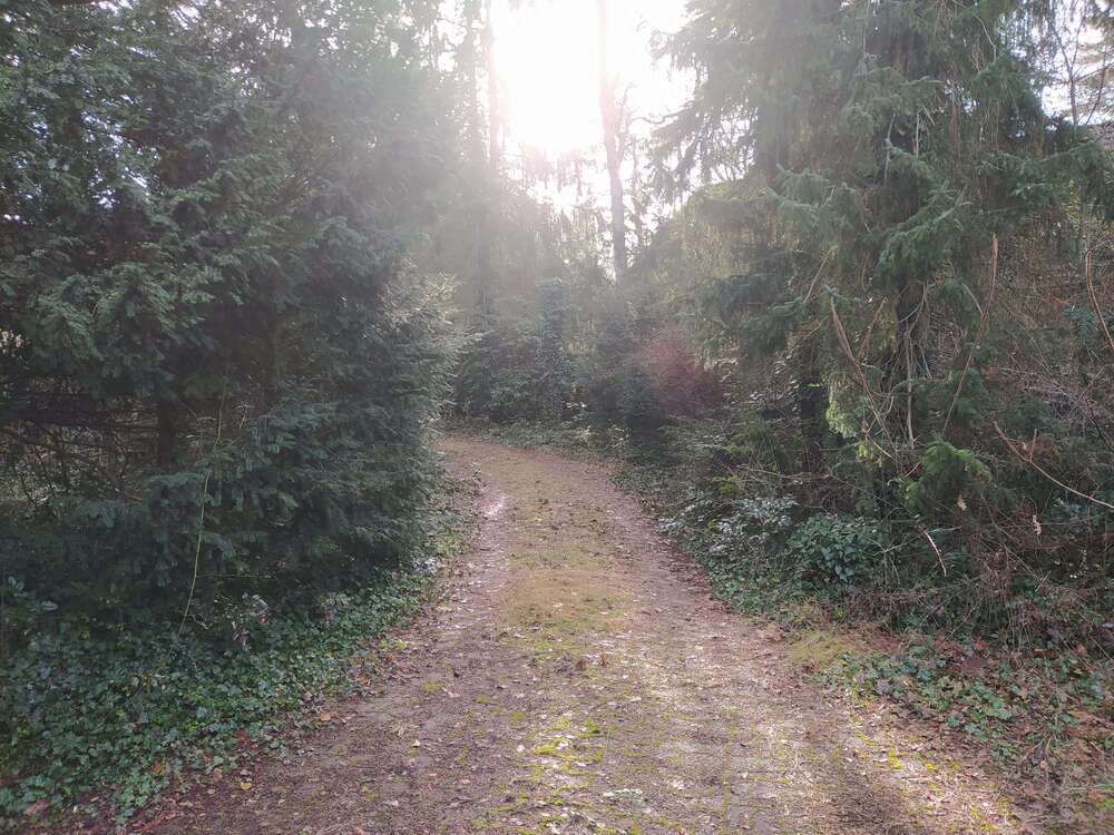 Thumbnail-Grundstück zu verkaufen in Wedemark 300.000,00 € 1364 m²