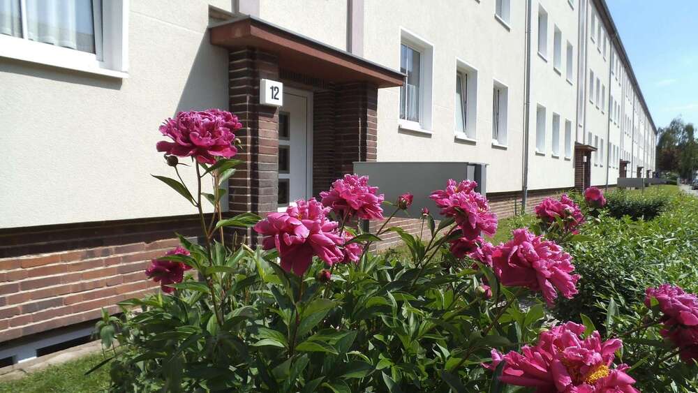 Thumbnail-Wohnung zum Mieten in Magdeburg 470,00 € 62 m²