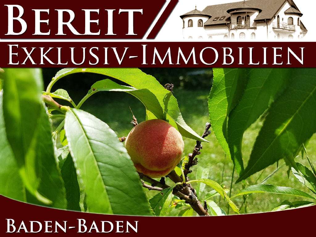 Thumbnail-Grundstück zu verkaufen in Baden-Baden 1.500.000,00 € 420 m²