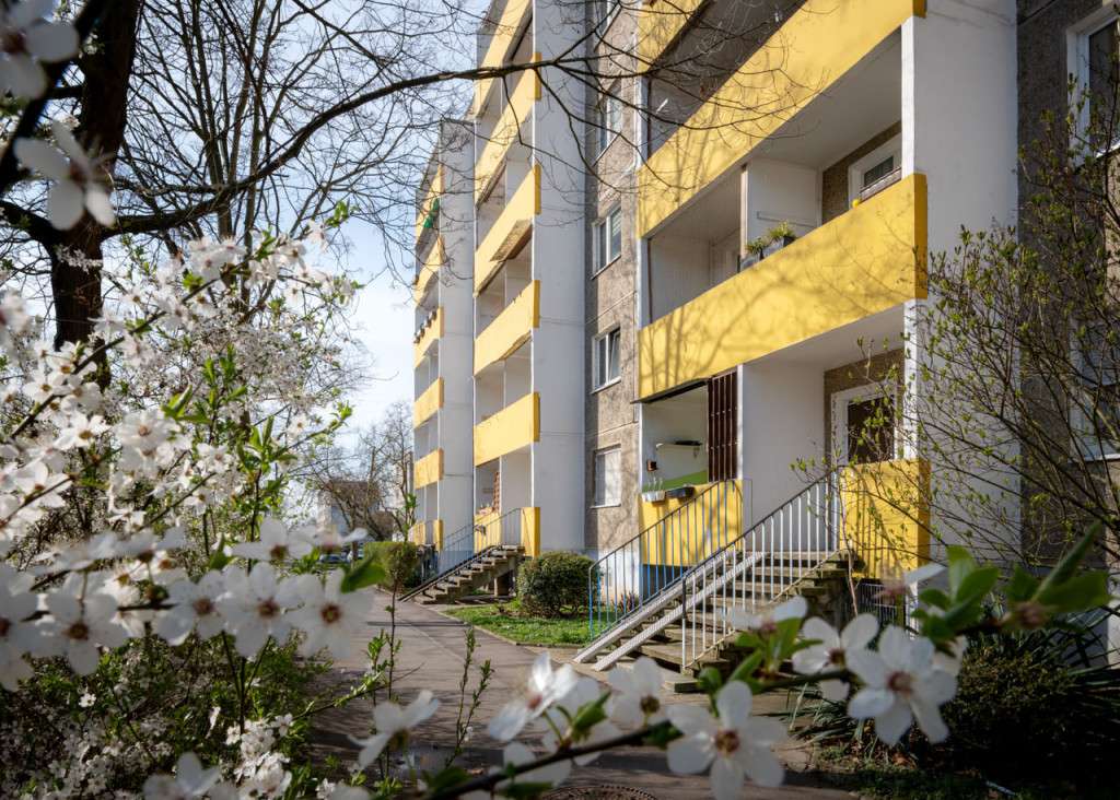 Thumbnail-Wohnung zum Mieten in Halle (Saale) 250,00 € 47.35 m²