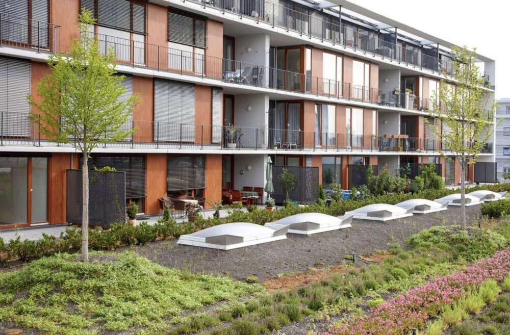 Thumbnail-Wohnung zum Mieten in Frankfurt am Main 730,00 € 50 m²