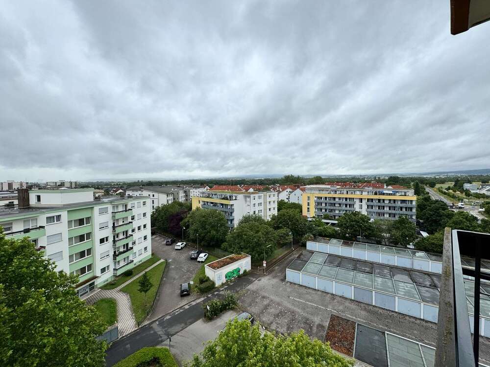 Thumbnail-Wohnung zum Mieten in Hochheim 590,00 € 37 m²