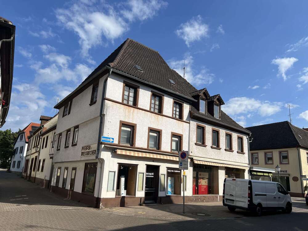 Thumbnail-Haus zum Kaufen in Bad Bergzabern 225.000,00 € 350 m²