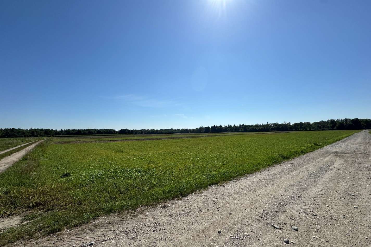 Thumbnail-Grundstück zu verkaufen in Hebertshausen 859.000,00 € 34340 m²